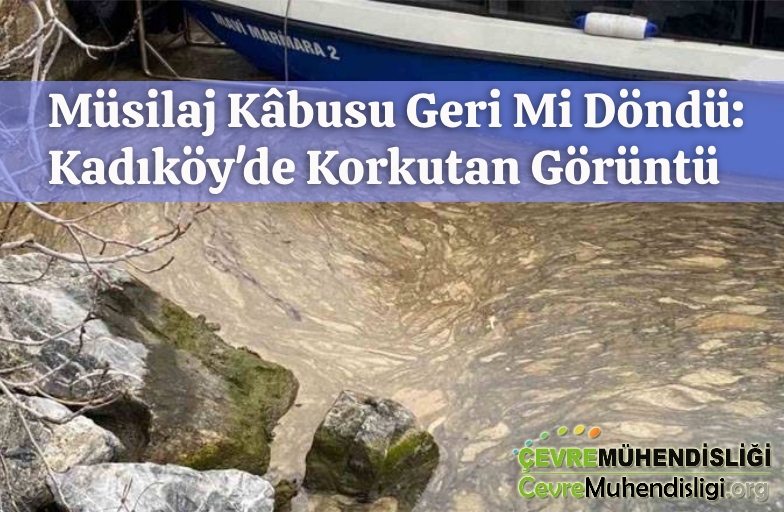 kadikoyde kirlilik