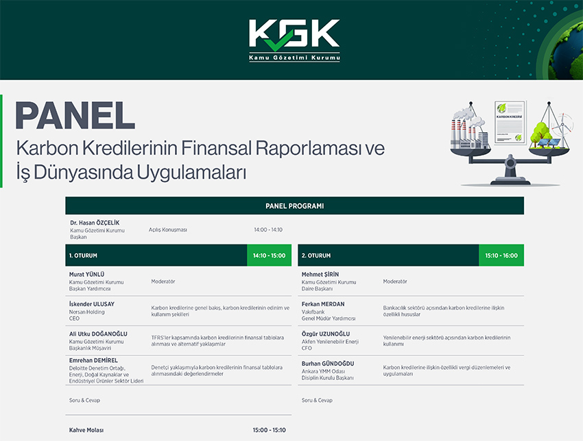 karbon kredilerinin finansal raporlamasi program