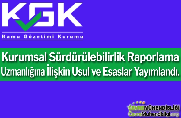 kurumsal surdurulebilirlik uzmanligina iliskin usul ve esaslar