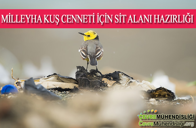 milleyha kus cenneti icin sit alani hazirligi