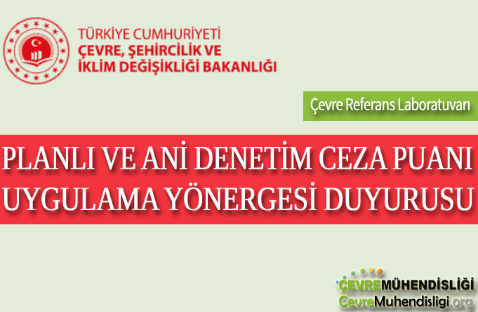 planli ve ani denetim ceza puani uygulamasi