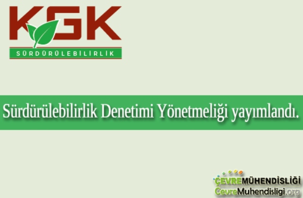 surdurulebilirlik denetimi yonetmeligi
