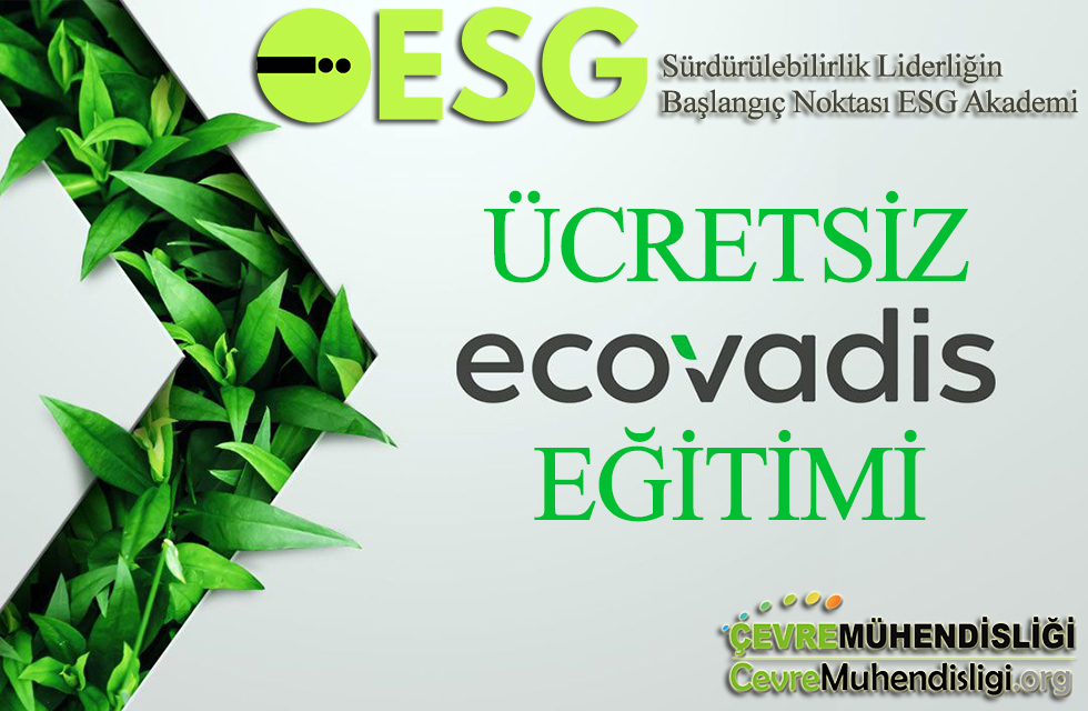 ucretsiz ecovadis egitimi