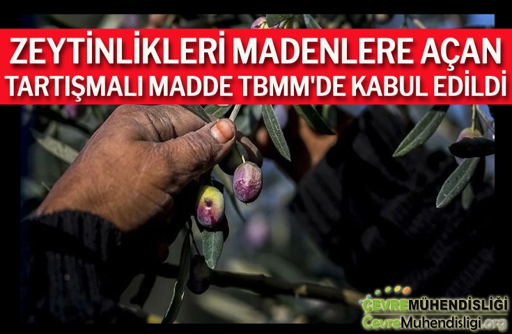 zeytinliklerin madenlere acilmasi