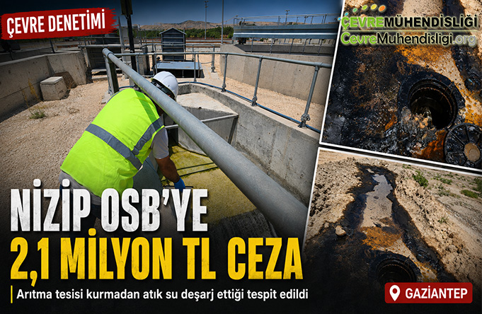 Arıtma Tesisi Kurmadı, Atık Suyu Doğaya Bıraktı: Rekor Ceza