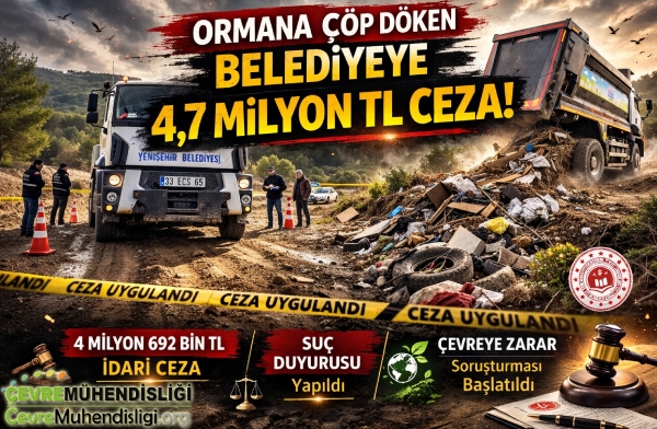 Ormana Atık Dökmenin Bedeli Ağır Oldu