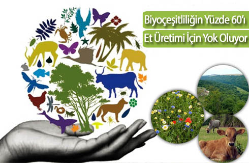 biyocesitlilik et uretimi nedeniyle yok oluyor 2017haber