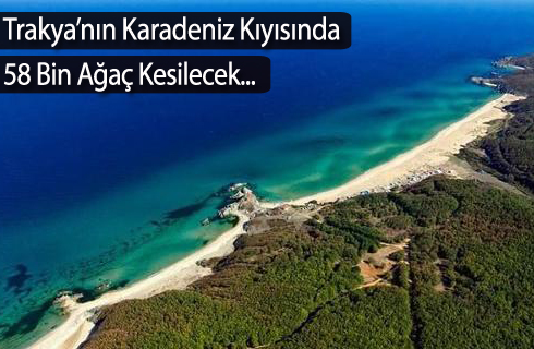 karadenizkiyisinda58binagackesilecek2017haber