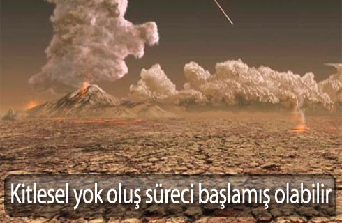 ktileselyokolussureci2014haber