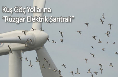 kus goc yoluna res 2017haber