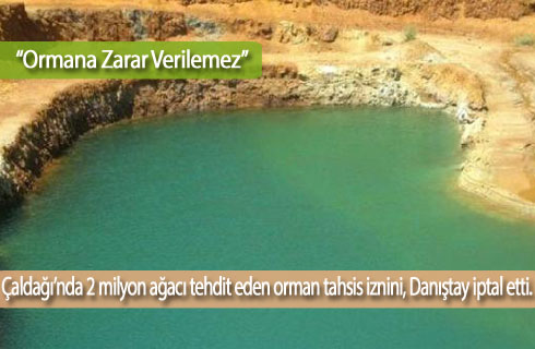 ormana zarar verilemez 2017haber