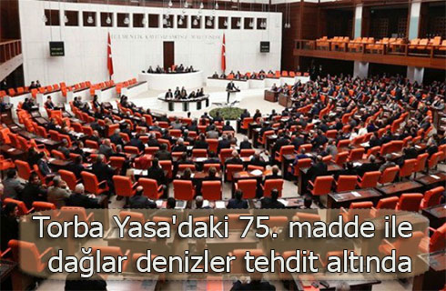 torbayasa752016haber